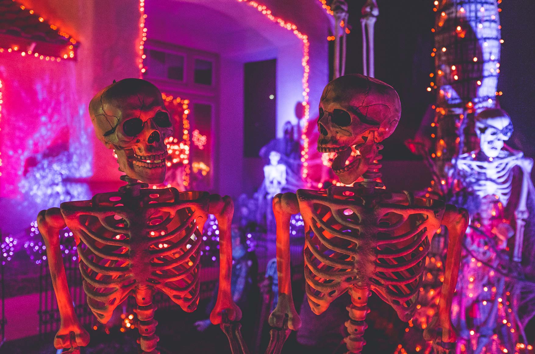 Skeletons in front of a House